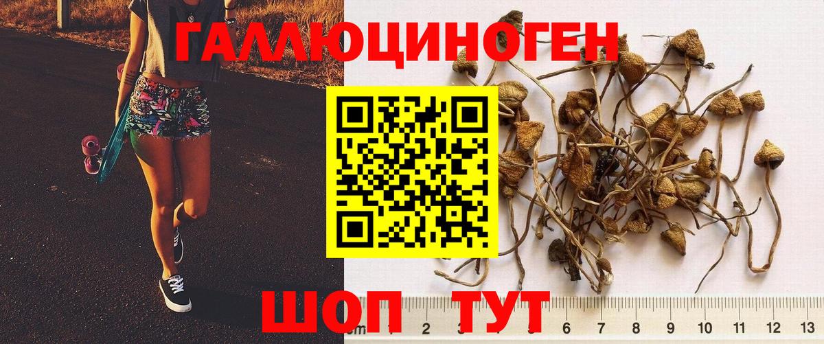 Галлюциногенные грибы мухоморы  Вход с VPN  Канаш 