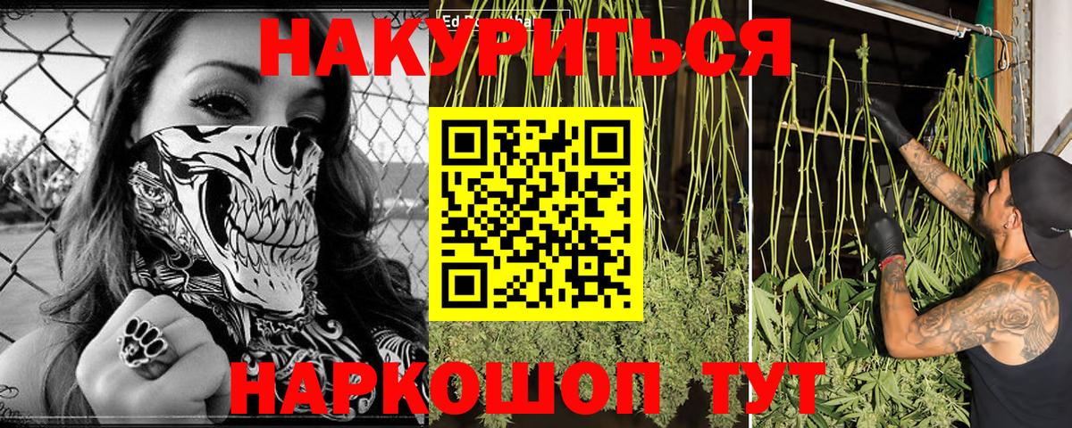 Каннабис индика  Вход с VPN  Конопля THC 21%  Канаш 